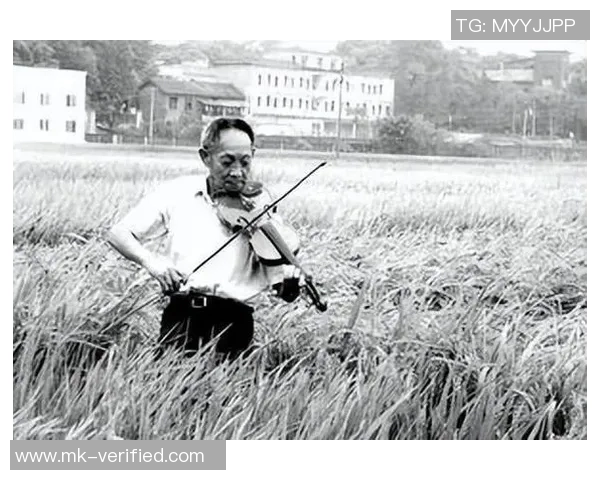 袁隆平与姚明的工资对比揭示了中国体育与农业的不同价值观与社会地位